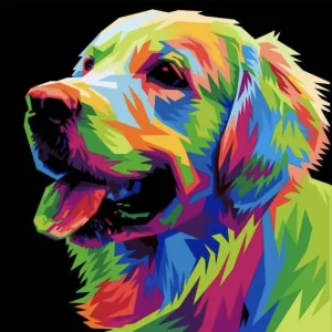 Chromatic Retriever